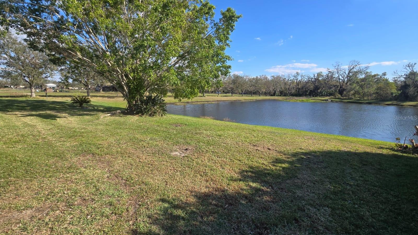 11523 JACKSON MANOR CT, PARRISH, FL, 34219