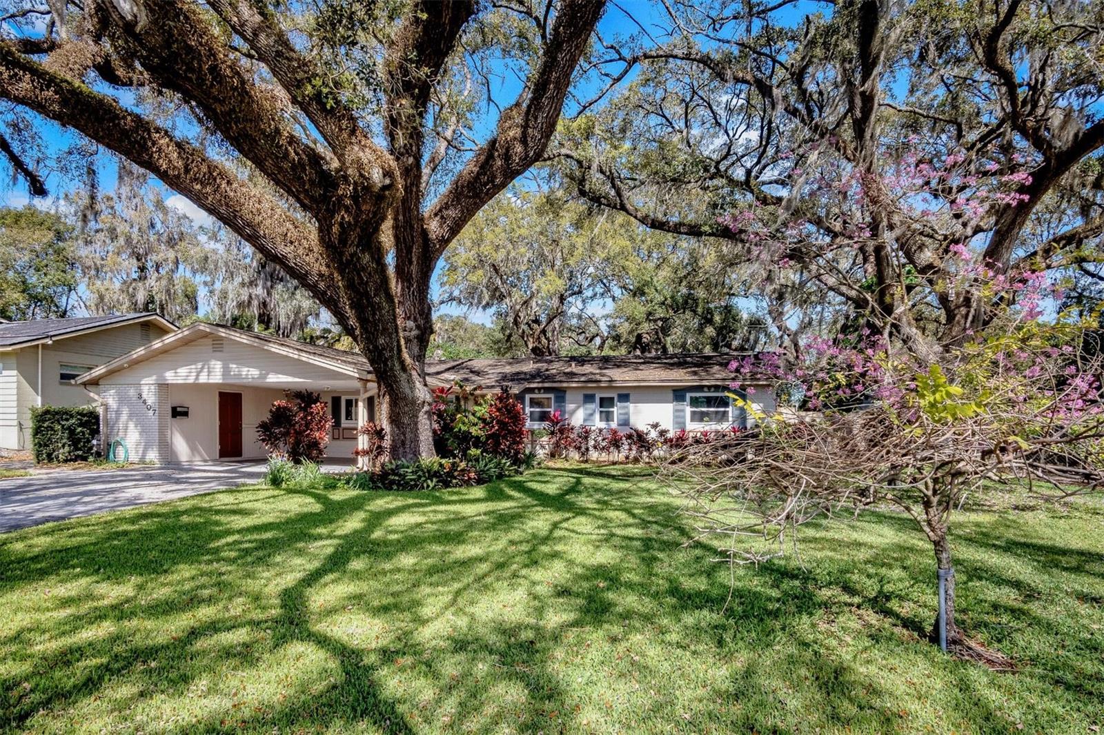 3407 PERSHING AVE, ORLANDO, FL, 32812