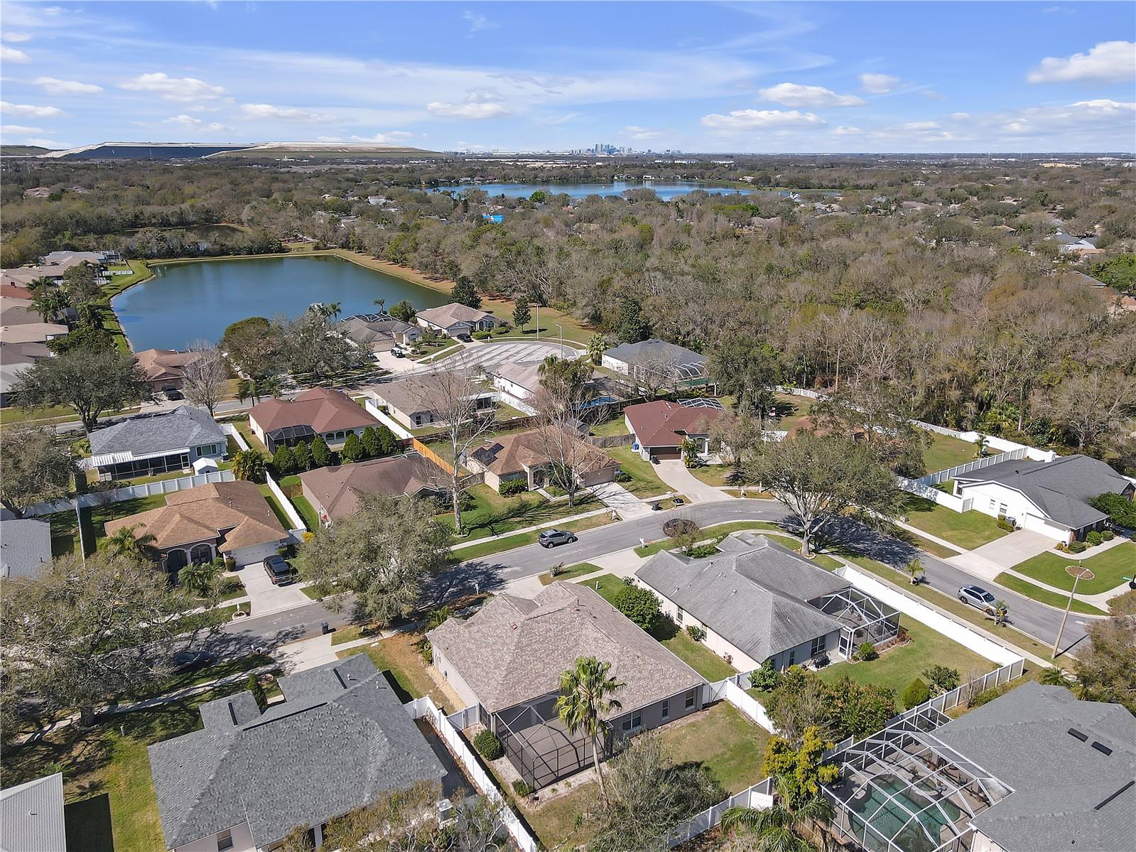 10221 ASHLEY OAKS DR, RIVERVIEW, FL, 33578