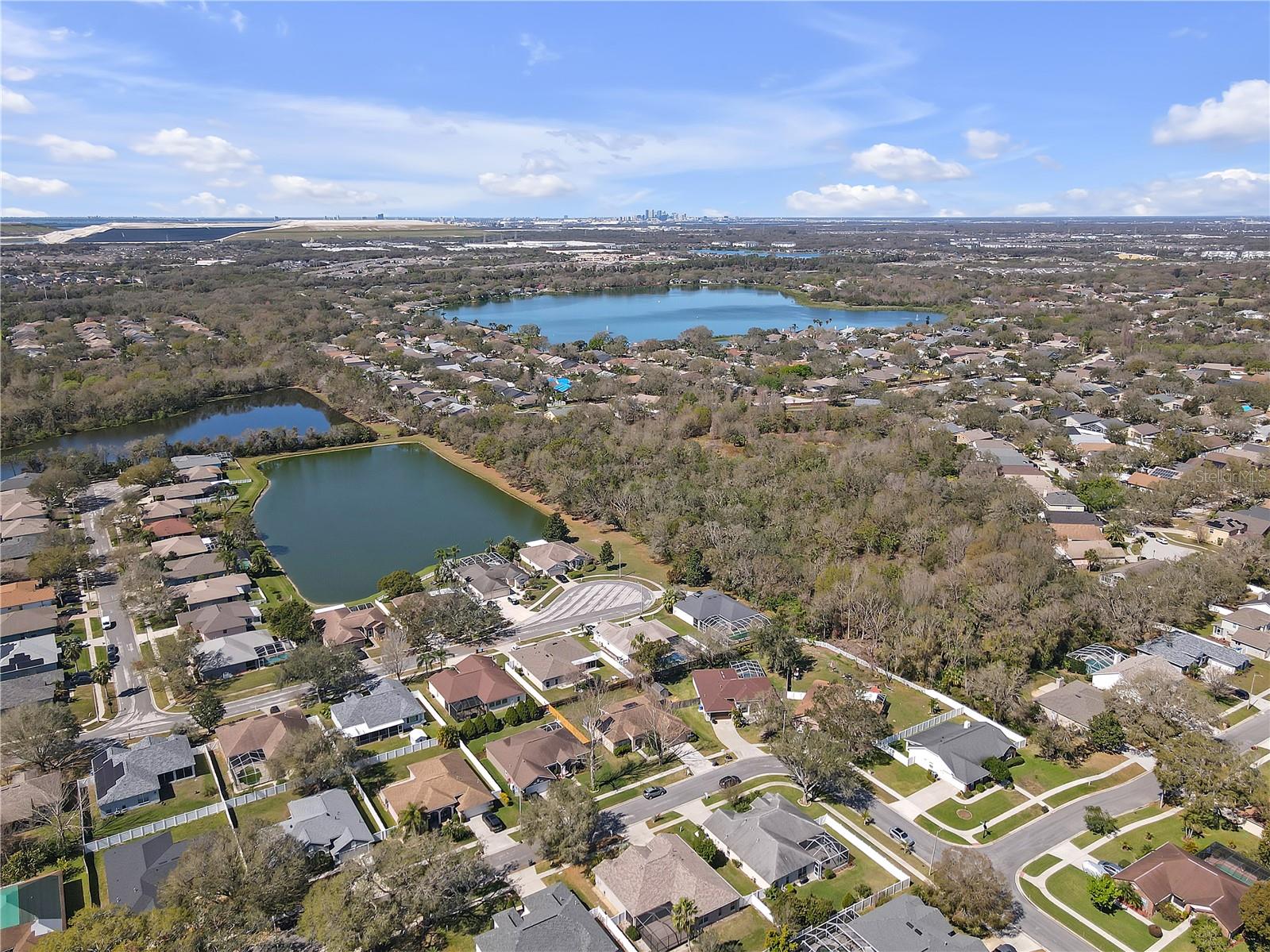 10221 ASHLEY OAKS DR, RIVERVIEW, FL, 33578