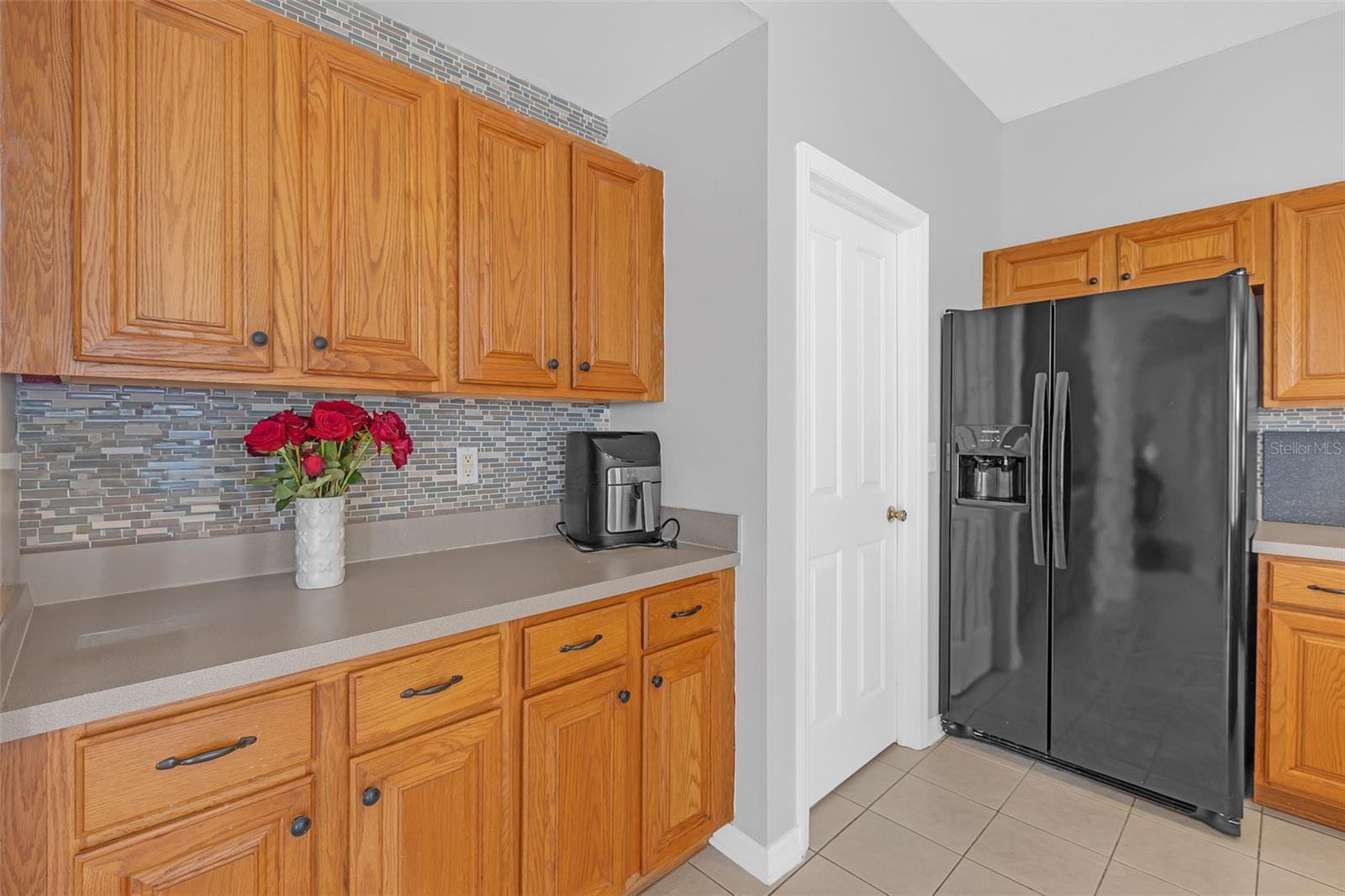 10221 ASHLEY OAKS DR, RIVERVIEW, FL, 33578