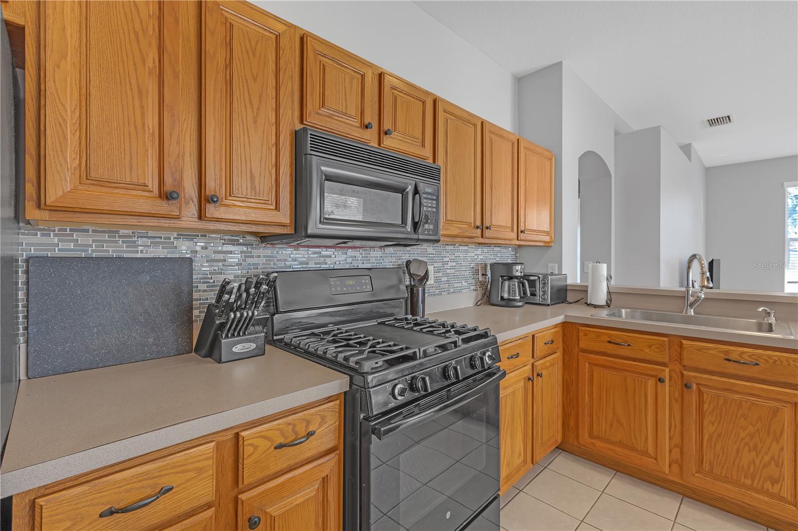 10221 ASHLEY OAKS DR, RIVERVIEW, FL, 33578