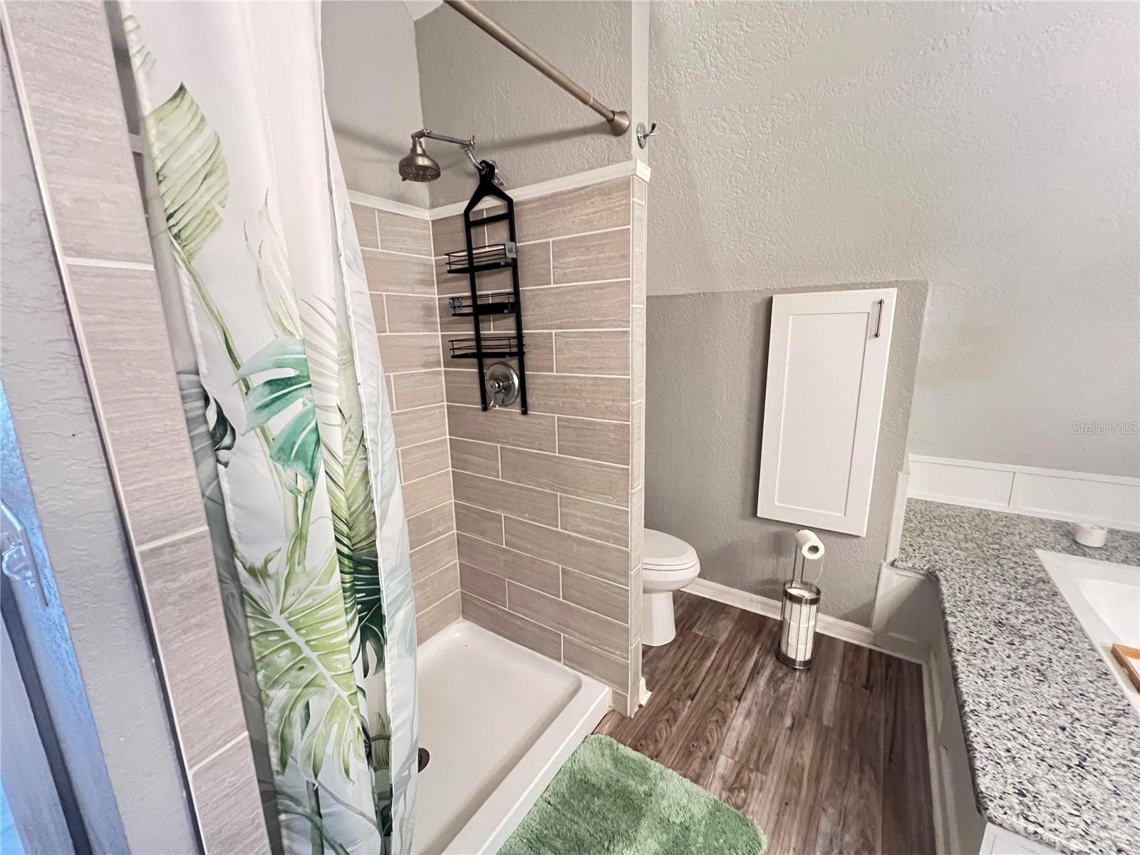 25704 ABERDOVEY AVE, SORRENTO, FL, 32776