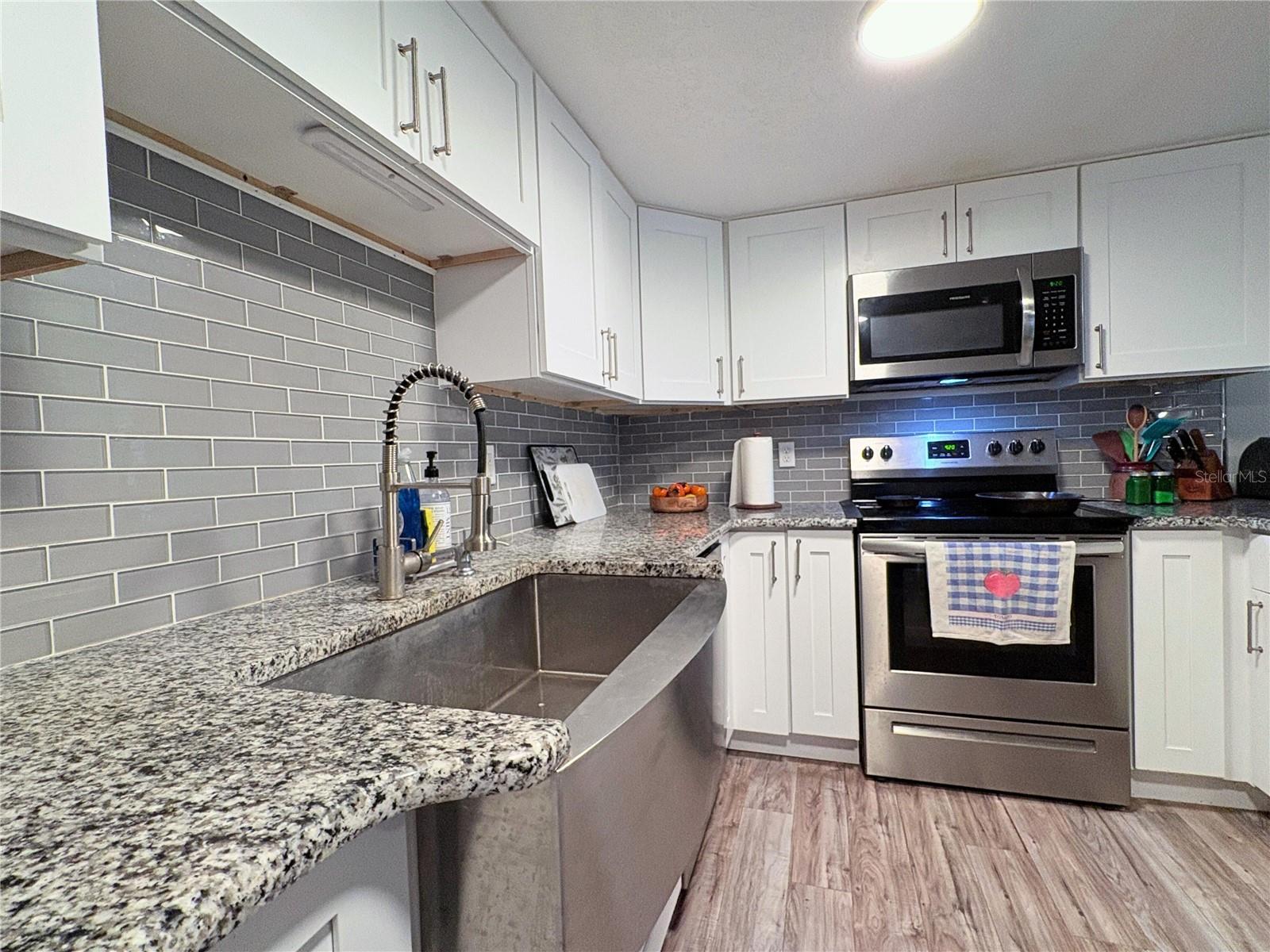 25704 ABERDOVEY AVE, SORRENTO, FL, 32776
