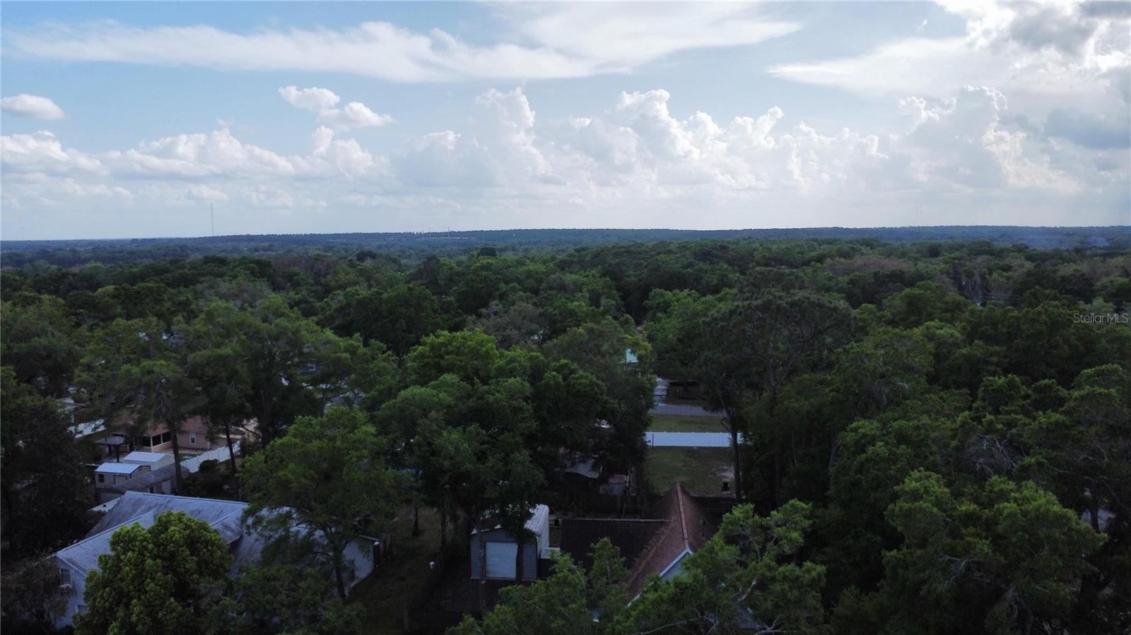 25704 ABERDOVEY AVE, SORRENTO, FL, 32776