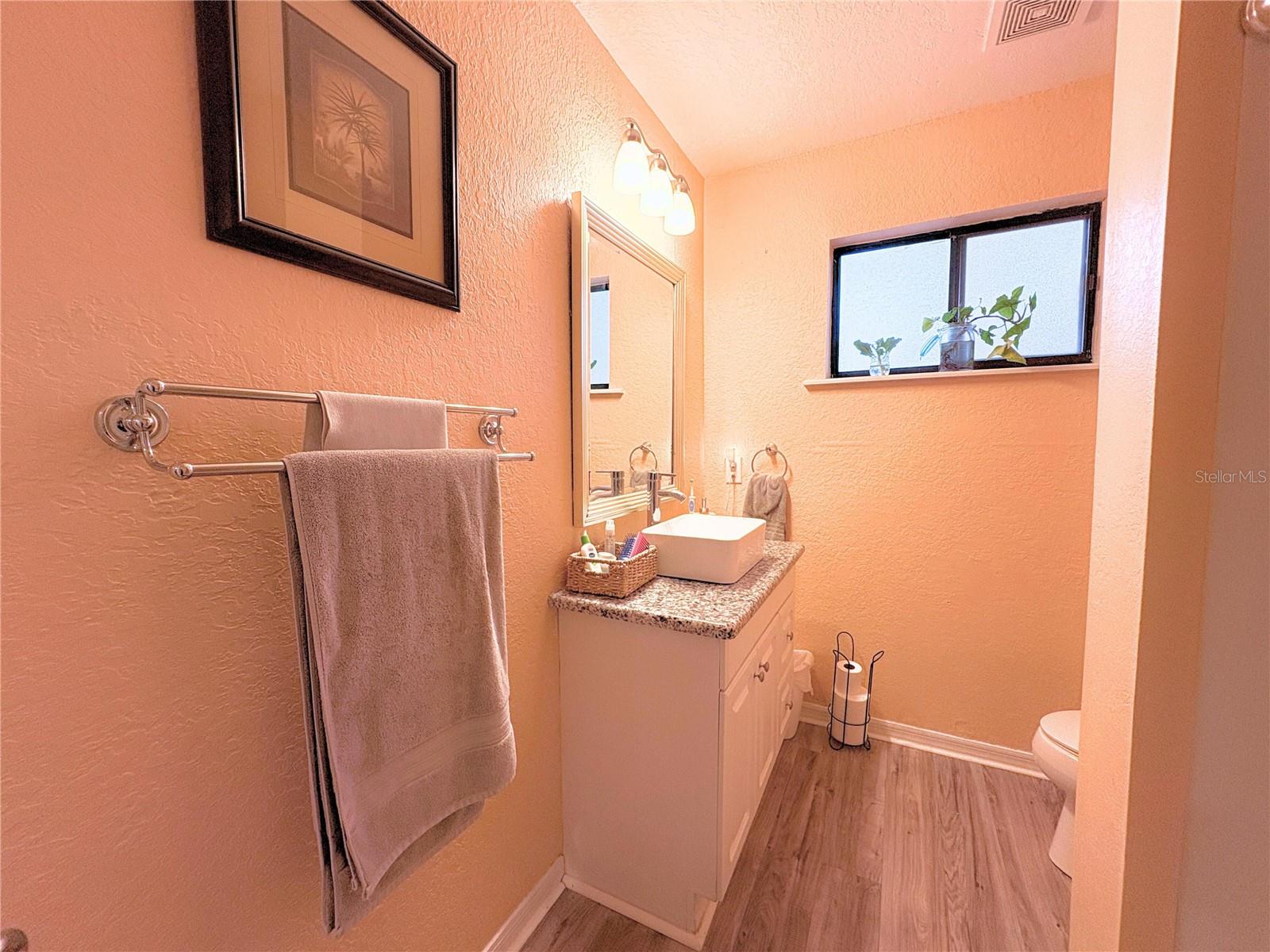 25704 ABERDOVEY AVE, SORRENTO, FL, 32776