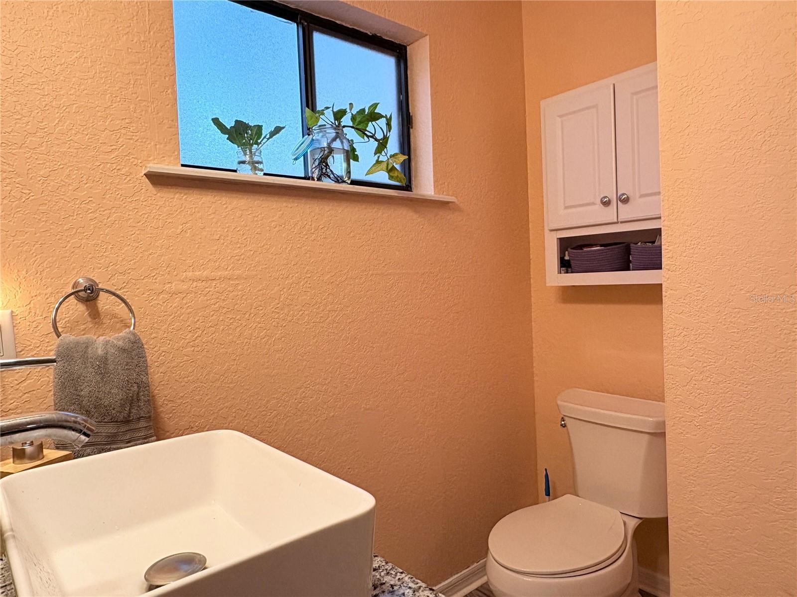 25704 ABERDOVEY AVE, SORRENTO, FL, 32776