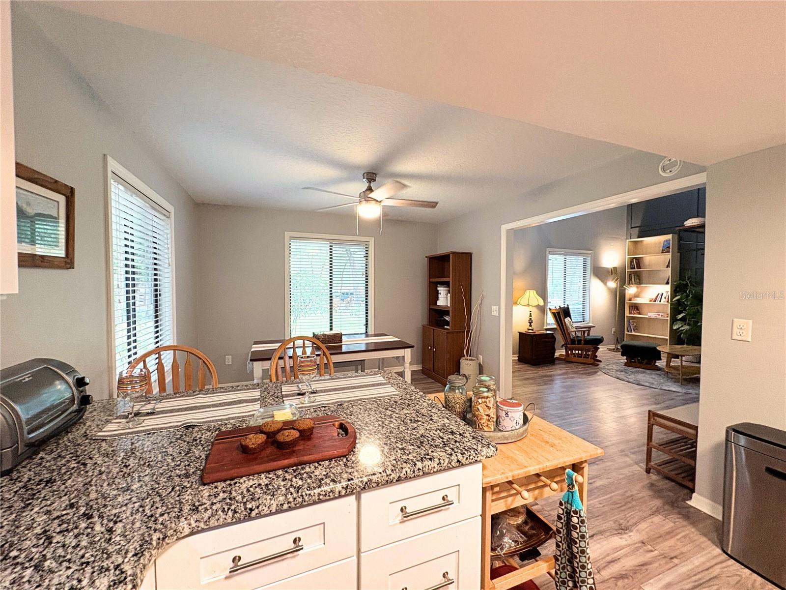 25704 ABERDOVEY AVE, SORRENTO, FL, 32776