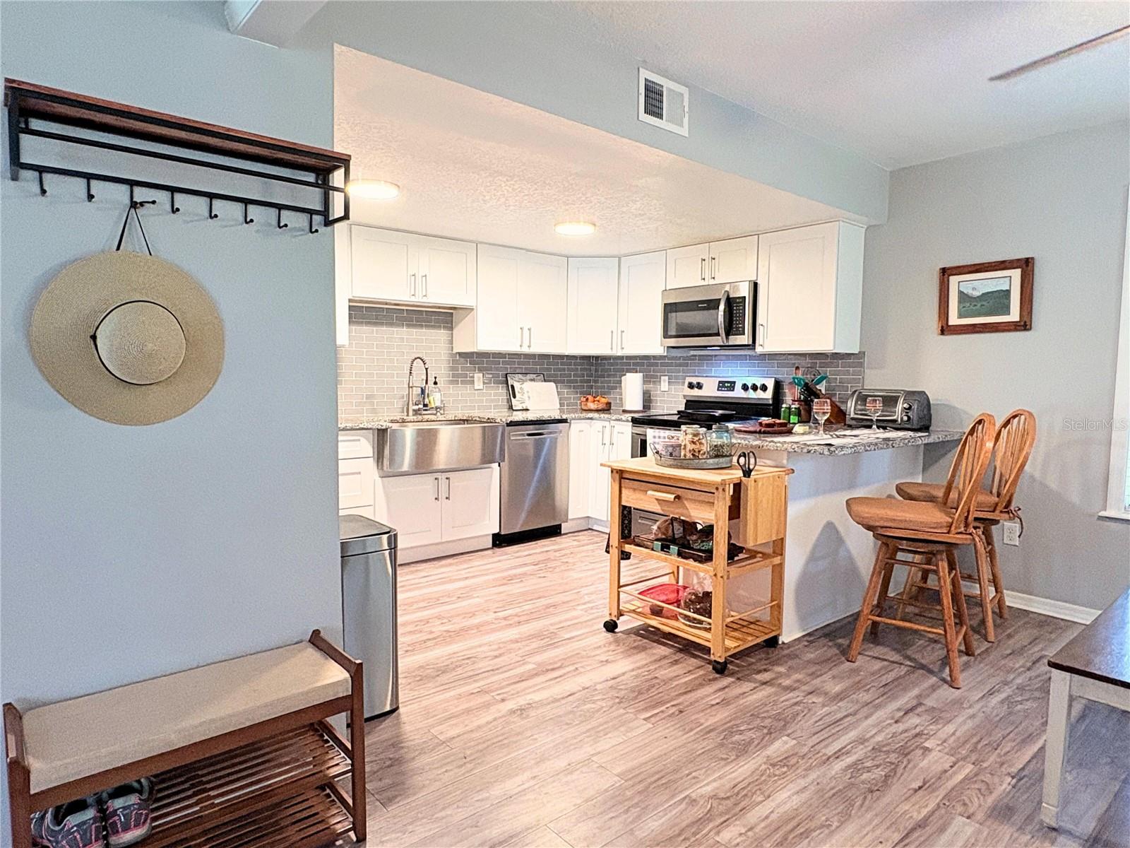 25704 ABERDOVEY AVE, SORRENTO, FL, 32776