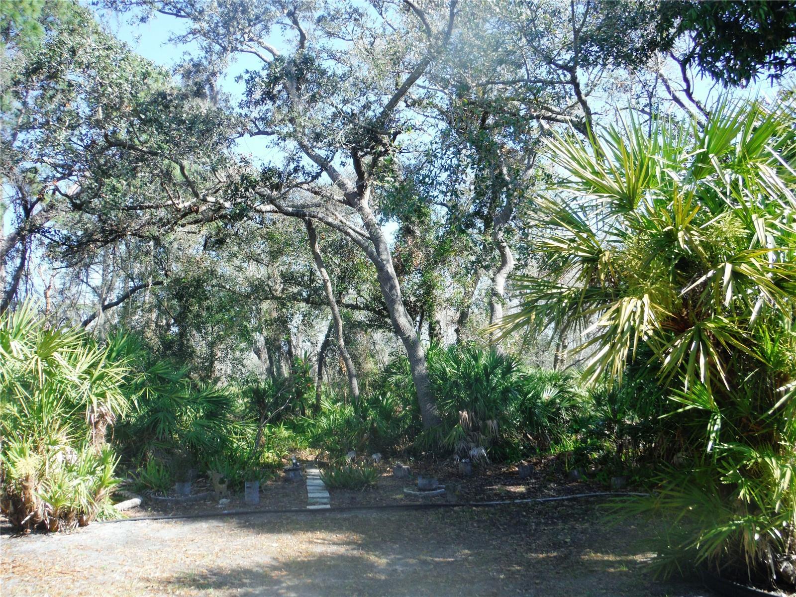 133 CLUBVIEW DR #137, SAFETY HARBOR, FL, 34695