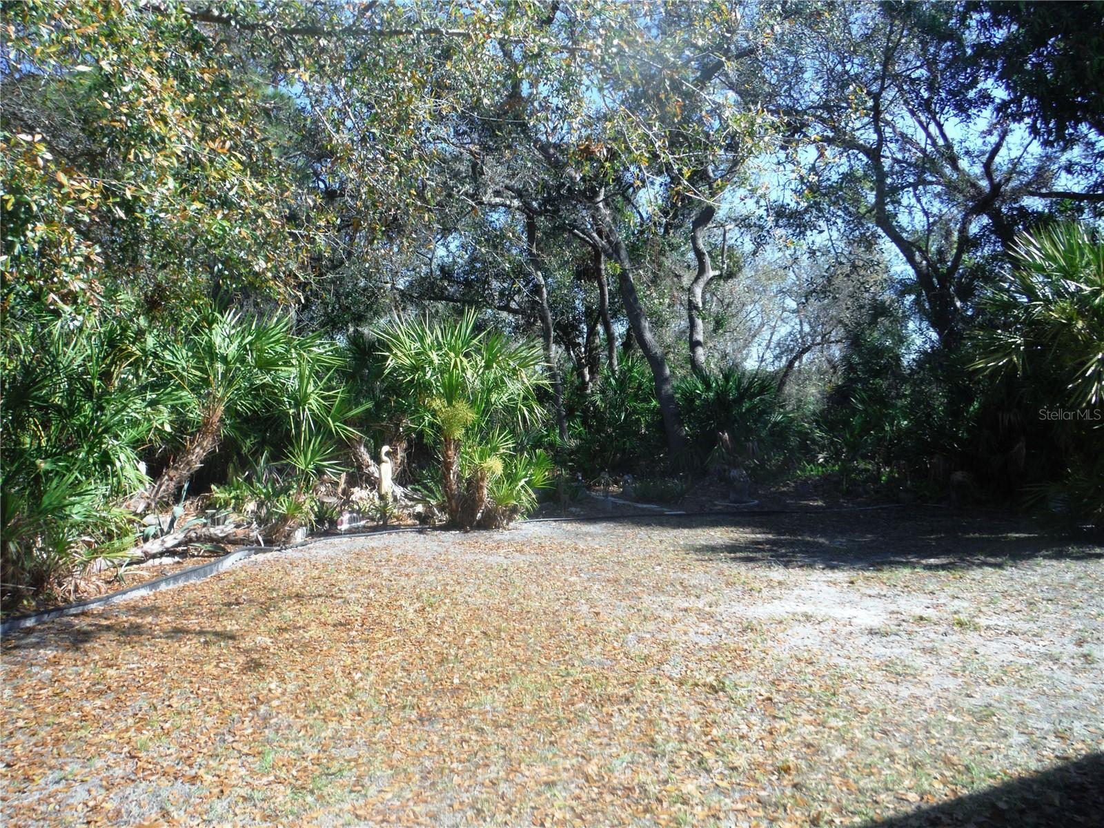 133 CLUBVIEW DR #137, SAFETY HARBOR, FL, 34695
