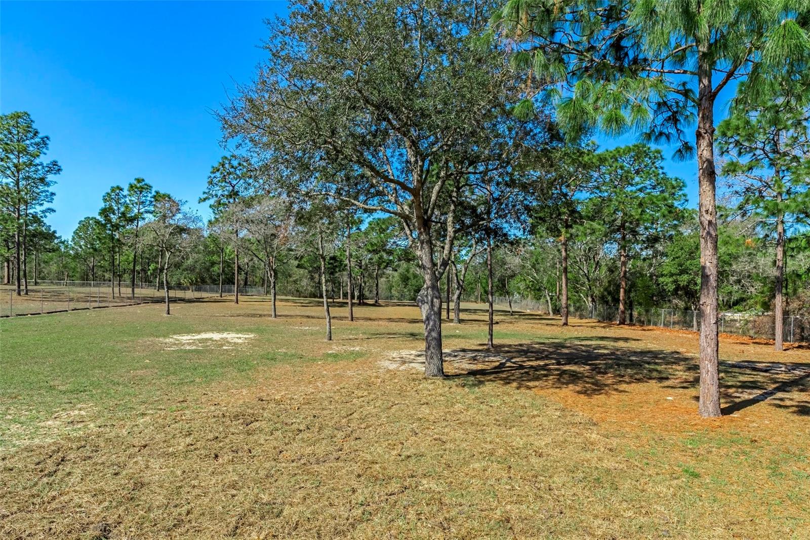 12323 STRAIGHT ST, BROOKSVILLE, FL, 34614