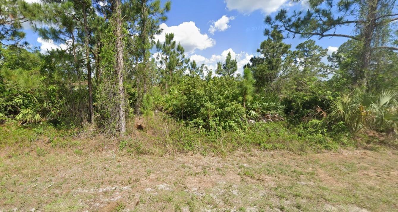 1243 BUELL AVE, FORT MYERS, FL, 33913