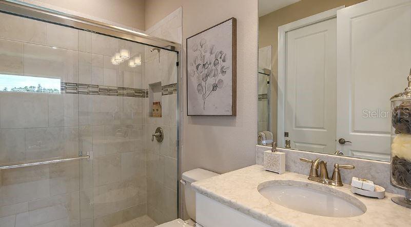 29463 VELLETRI LN, WESLEY CHAPEL, FL, 33543