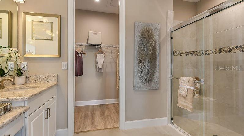 29463 VELLETRI LN, WESLEY CHAPEL, FL, 33543