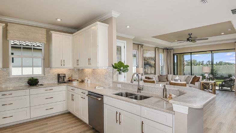 29463 VELLETRI LN, WESLEY CHAPEL, FL, 33543