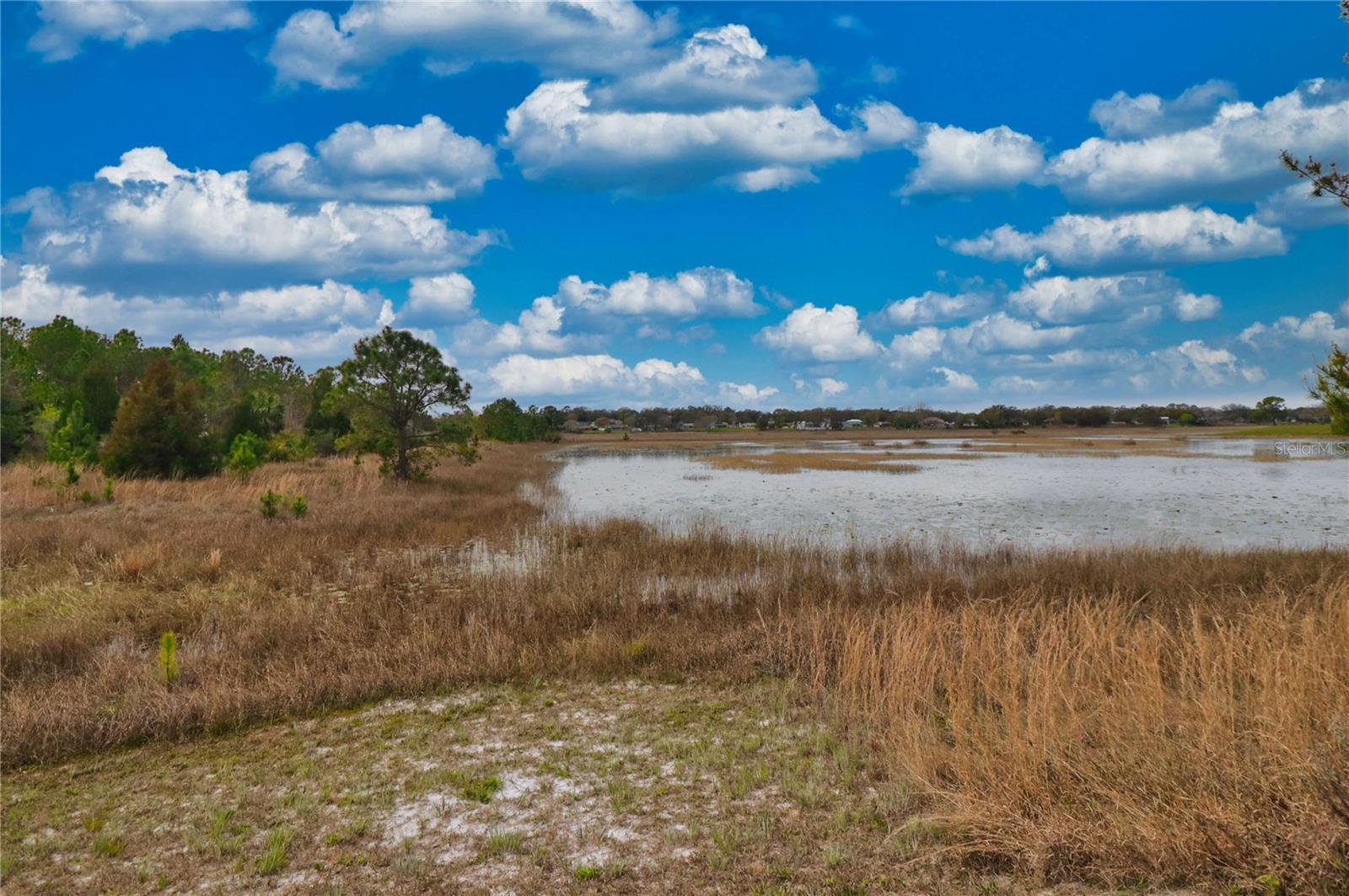 7260 SKYLARK DR, SPRING HILL, FL, 34606