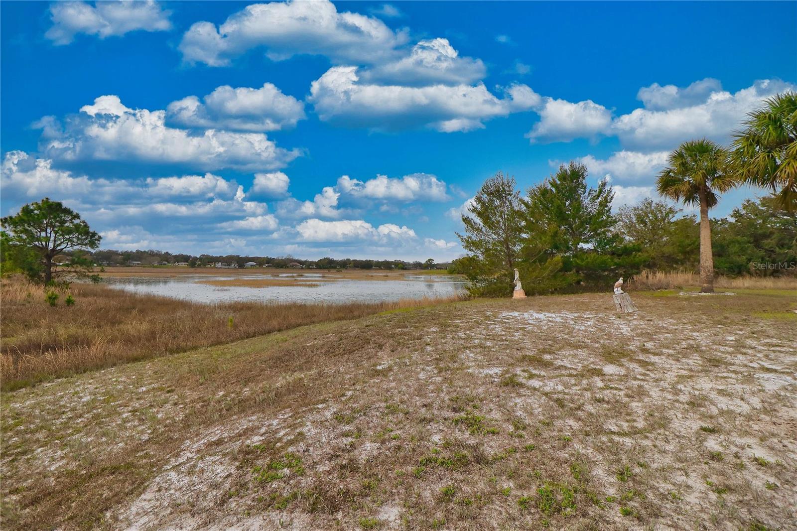7260 SKYLARK DR, SPRING HILL, FL, 34606
