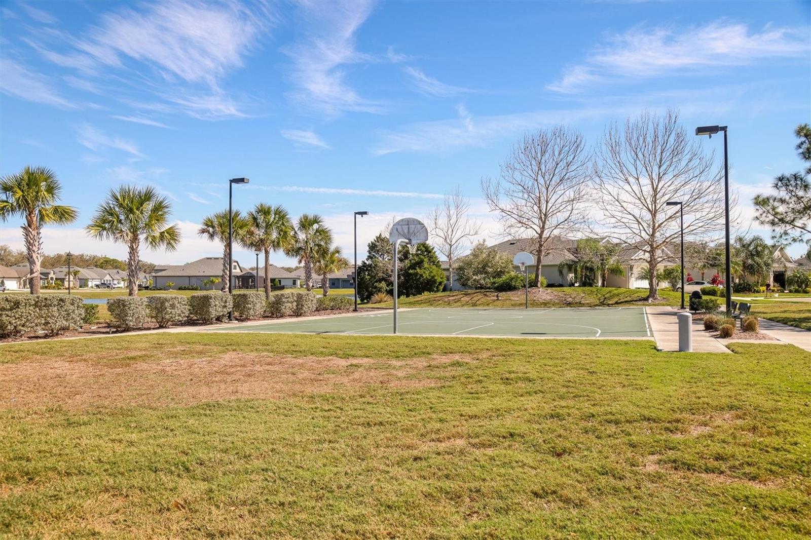 12409 LARCHMERE LN, PARRISH, FL, 34219