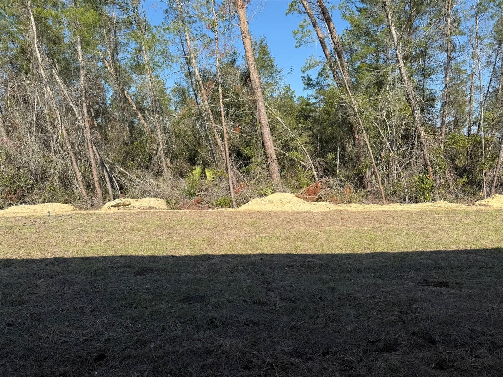 616 MARION OAKS LN, OCALA, FL, 34473