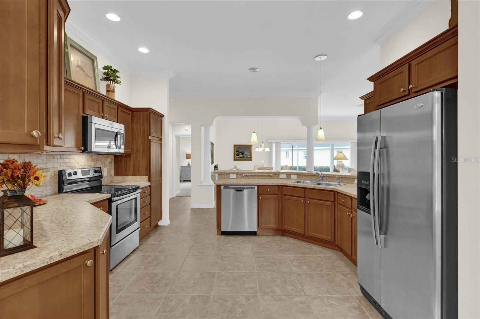 3262 DALKEITH TER, THE VILLAGES, FL, 32163