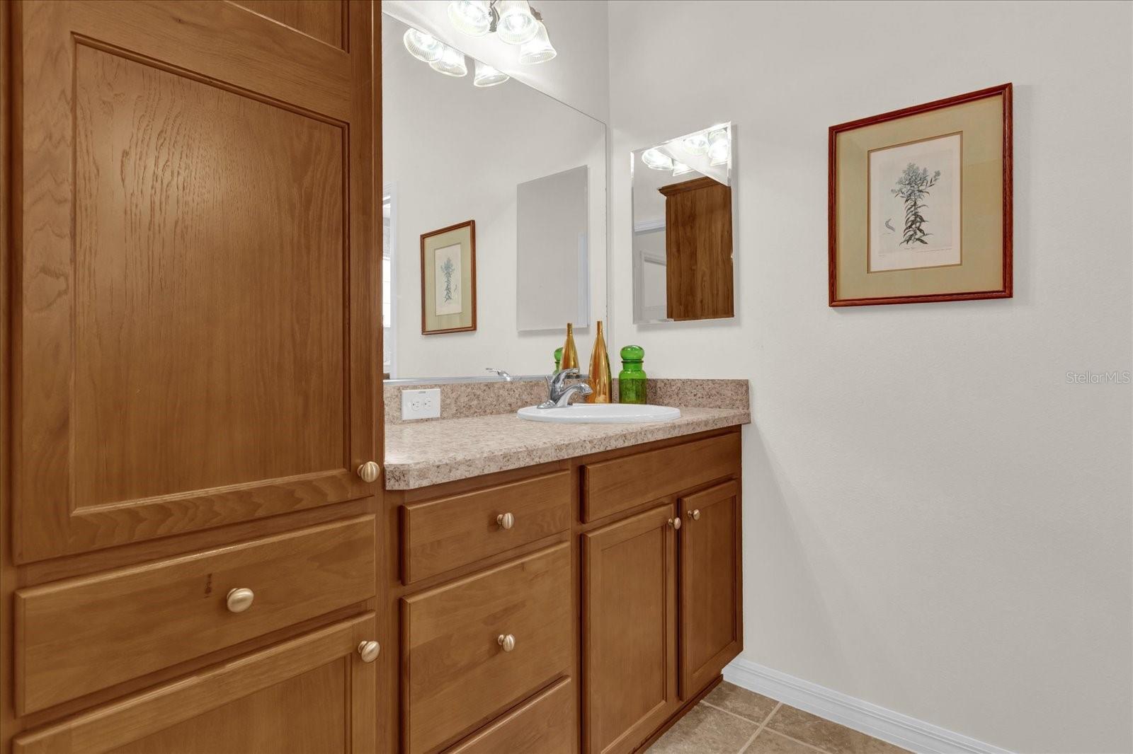 3262 DALKEITH TER, THE VILLAGES, FL, 32163