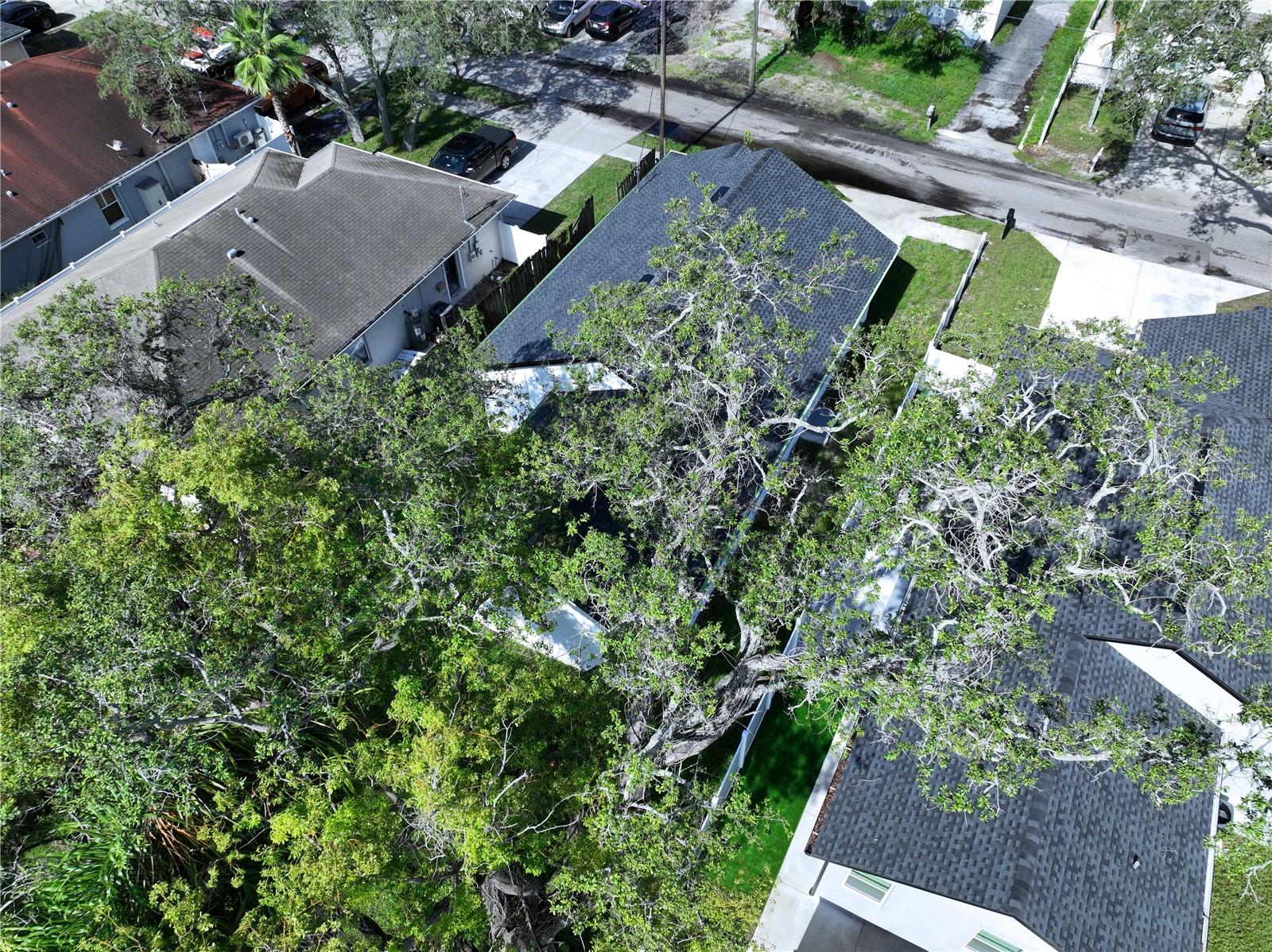 8111 N EDISON AVE, TAMPA, FL, 33604