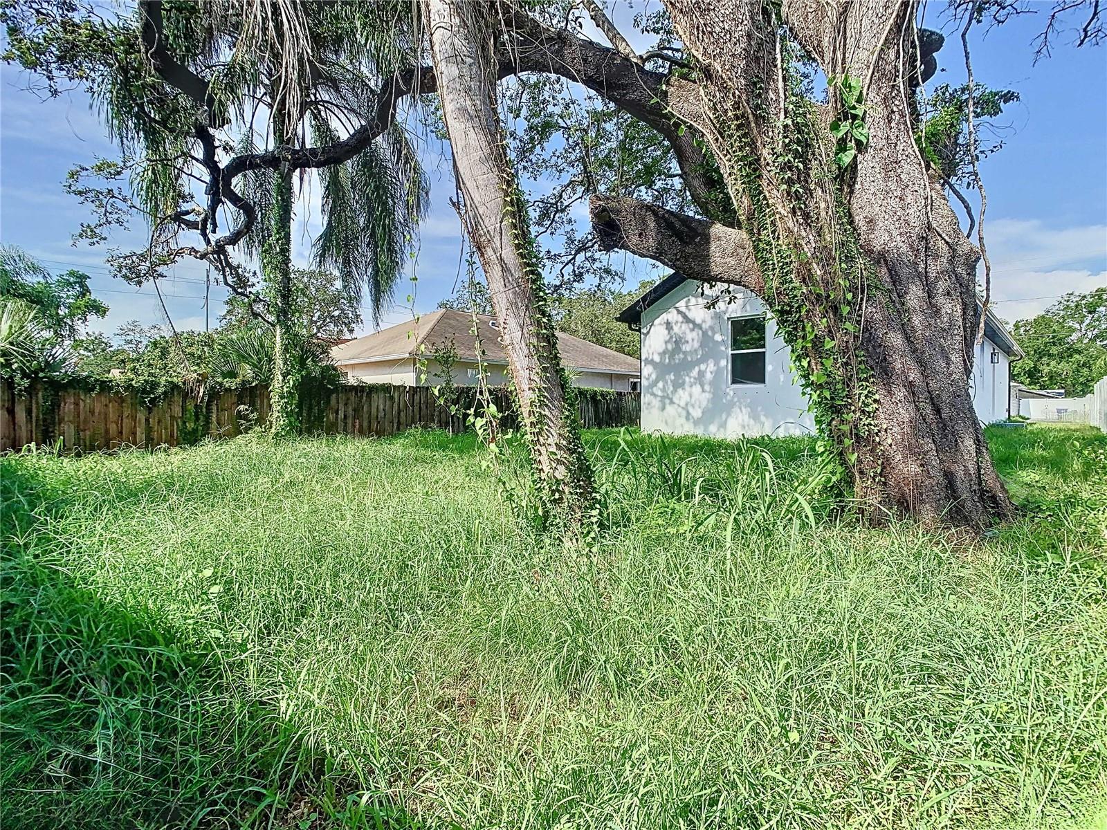 8111 N EDISON AVE, TAMPA, FL, 33604