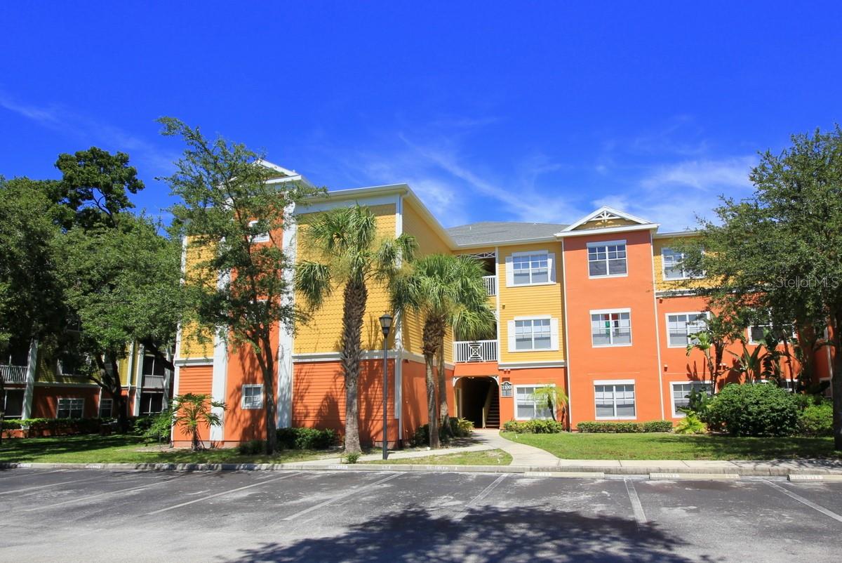 4207 S DALE MABRY HWY #10104, TAMPA, FL, 33611