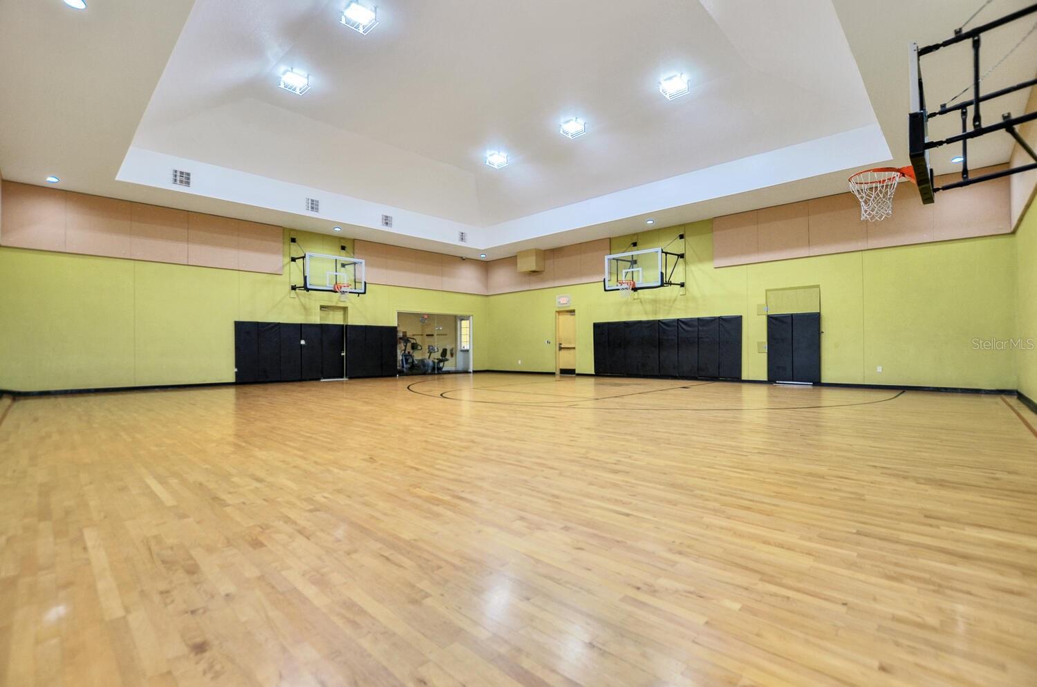 4207 S DALE MABRY HWY #10104, TAMPA, FL, 33611