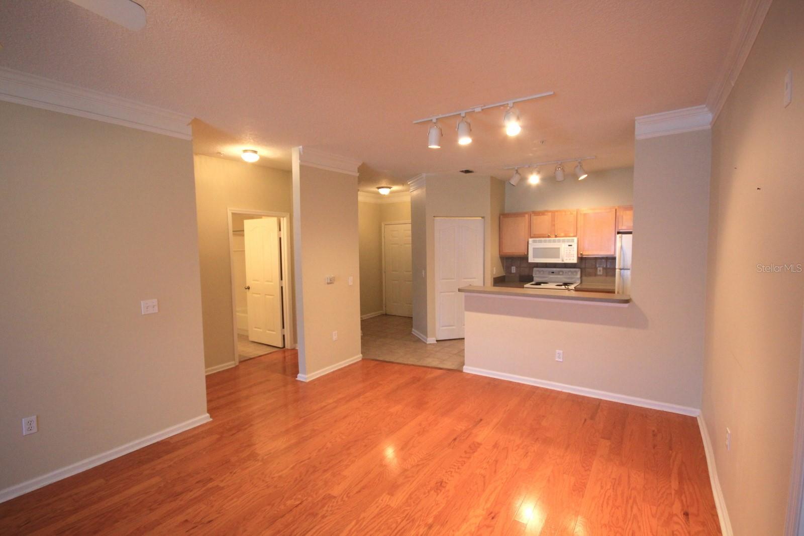 4207 S DALE MABRY HWY #10104, TAMPA, FL, 33611