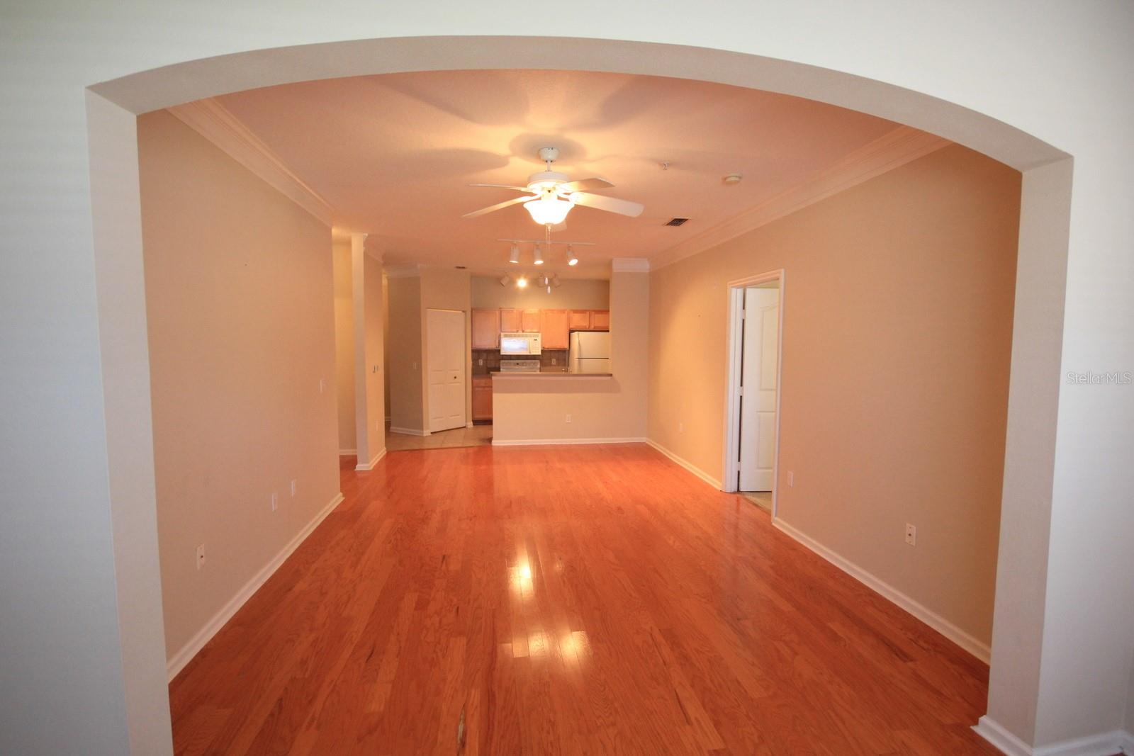 4207 S DALE MABRY HWY #10104, TAMPA, FL, 33611