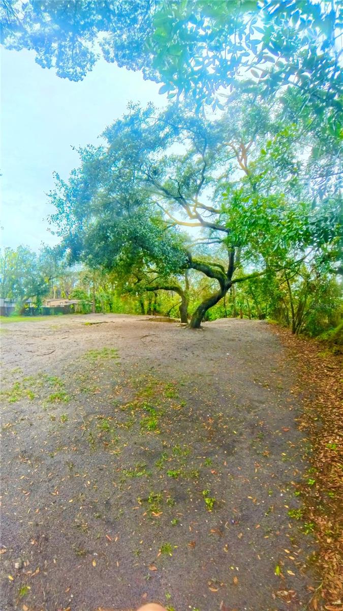 3891 ELFERS PKWY, NEW PORT RICHEY, FL, 34655