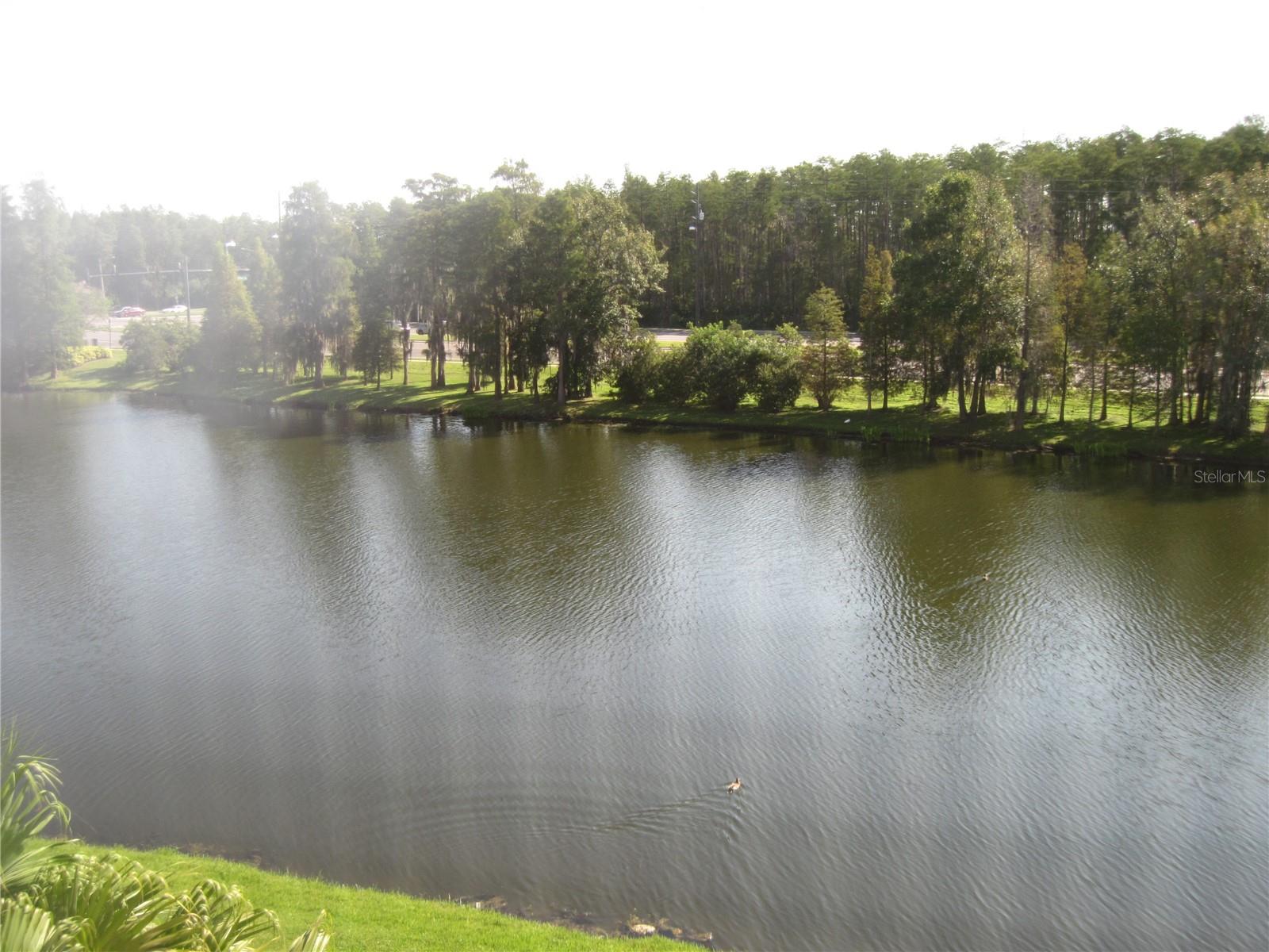 13572 TURTLE MARSH LOOP #236, ORLANDO, FL, 32837