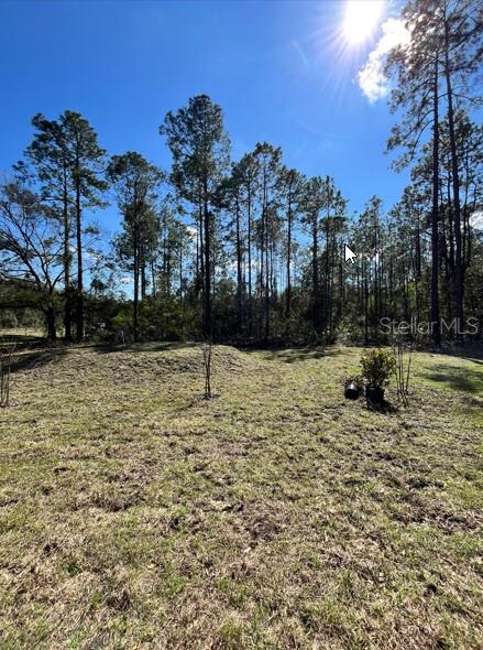 4415 OLGA ST, HASTINGS, FL, 32145
