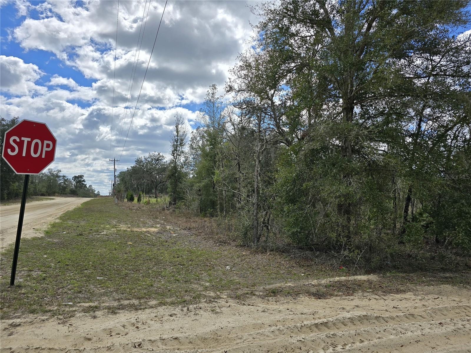 00 NE 115TH AVE, WILLISTON, FL, 32696