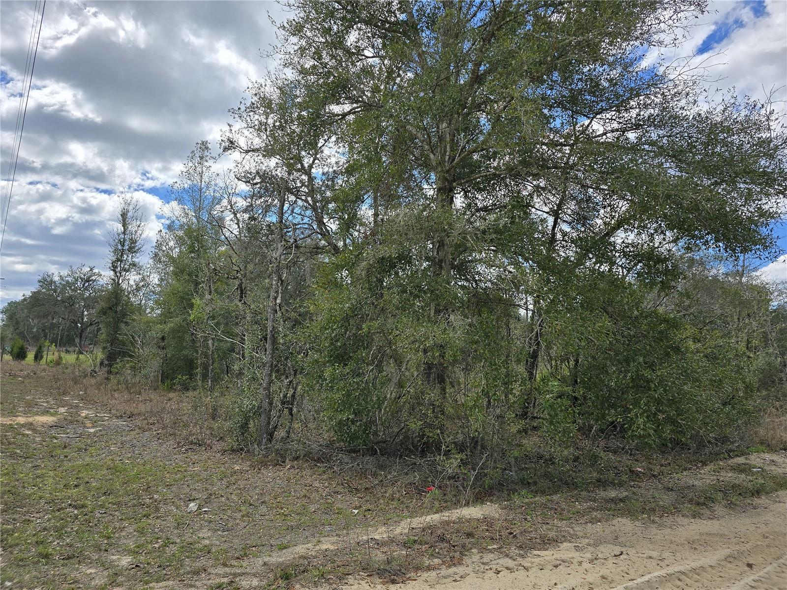 00 NE 115TH AVE, WILLISTON, FL, 32696