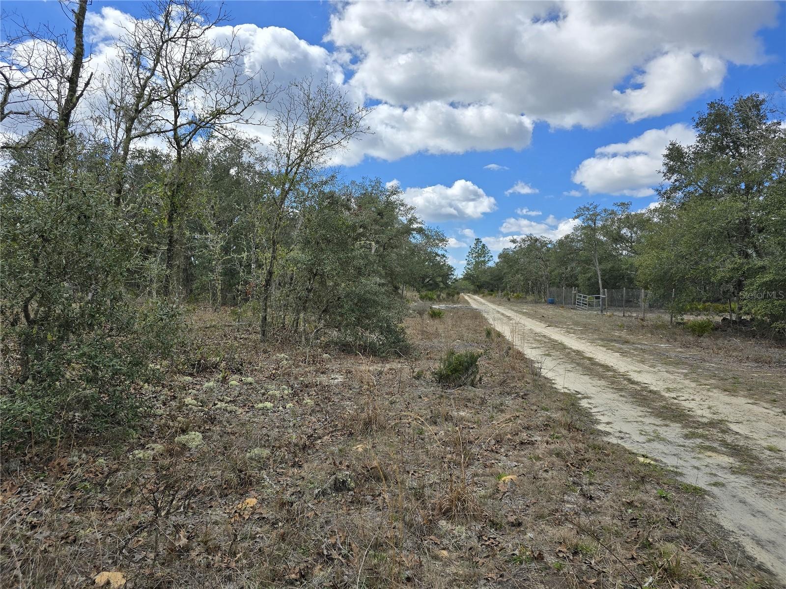 00 NE 115TH AVE, WILLISTON, FL, 32696