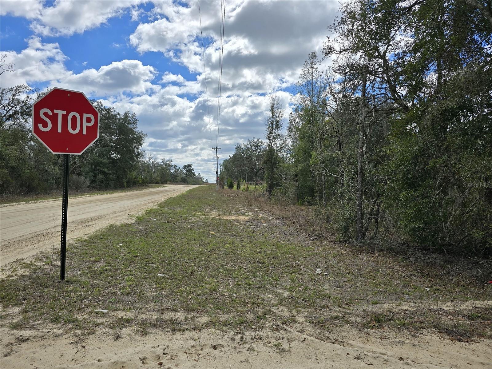 00 NE 115TH AVE, WILLISTON, FL, 32696