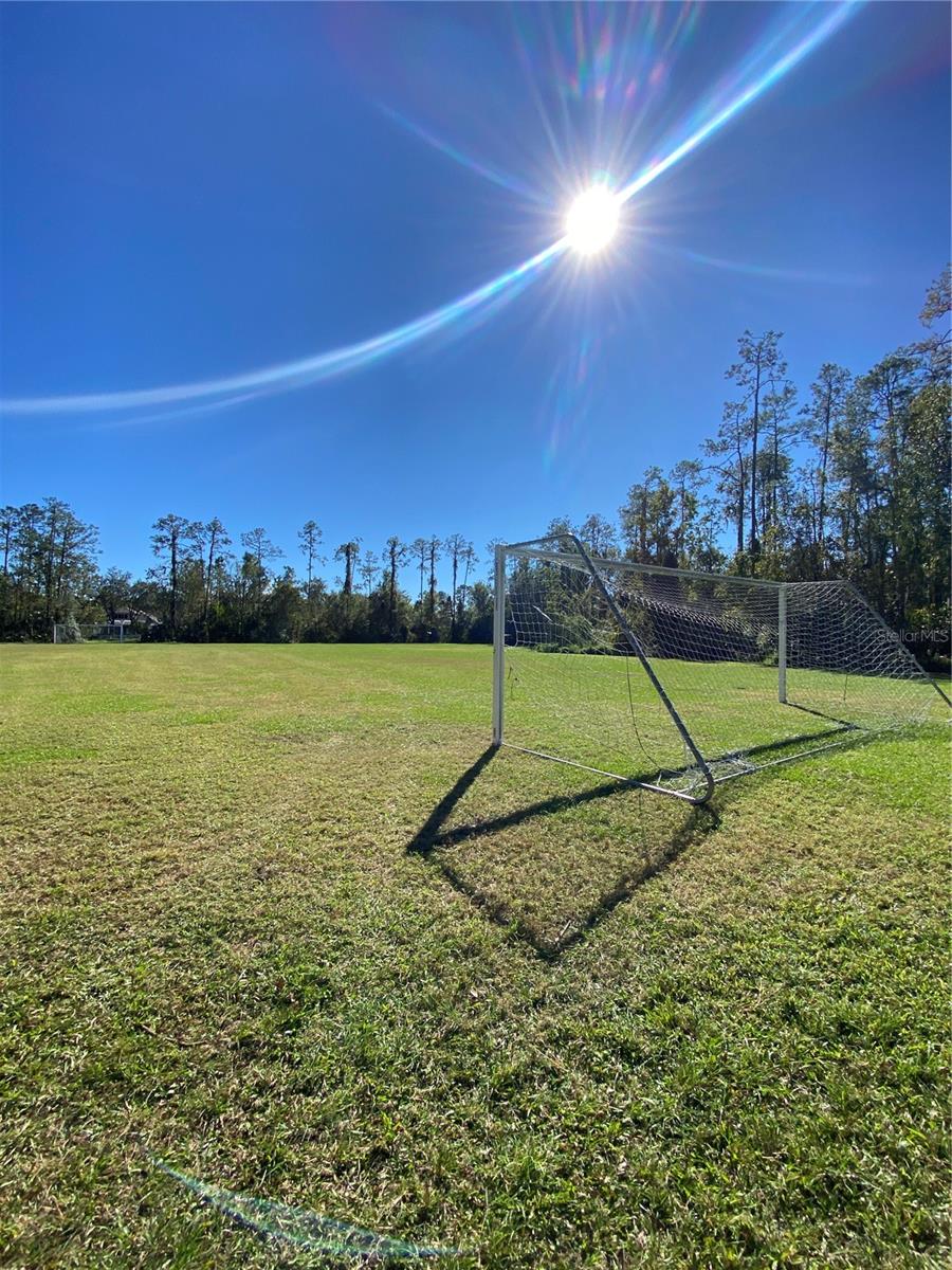 26710 JUNIPER BAY DR, WESLEY CHAPEL, FL, 33544