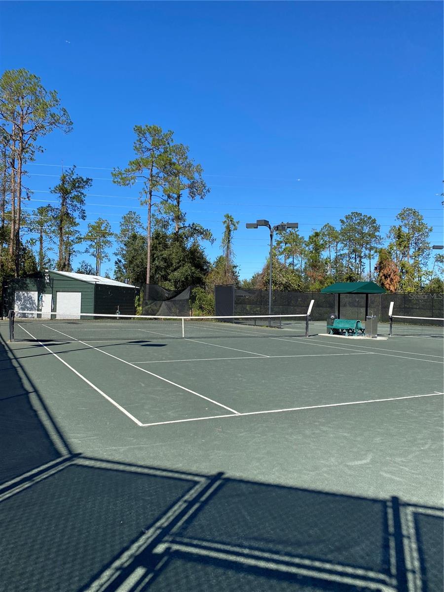 26710 JUNIPER BAY DR, WESLEY CHAPEL, FL, 33544