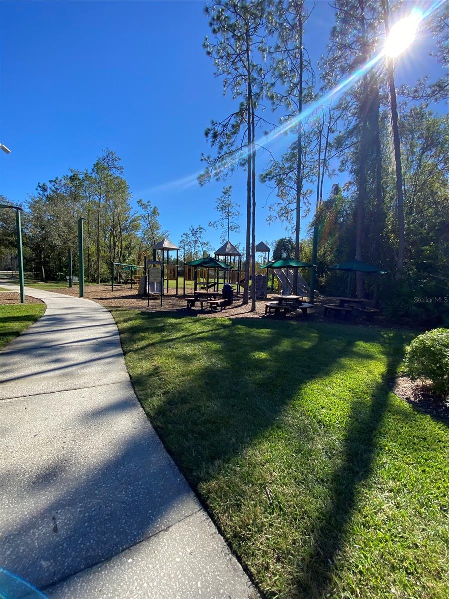 26710 JUNIPER BAY DR, WESLEY CHAPEL, FL, 33544