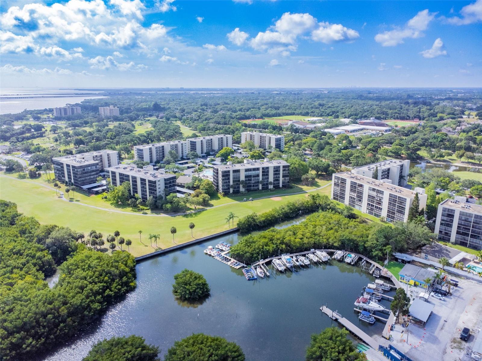 2900 COVE CAY DR #6G, CLEARWATER, FL, 33760