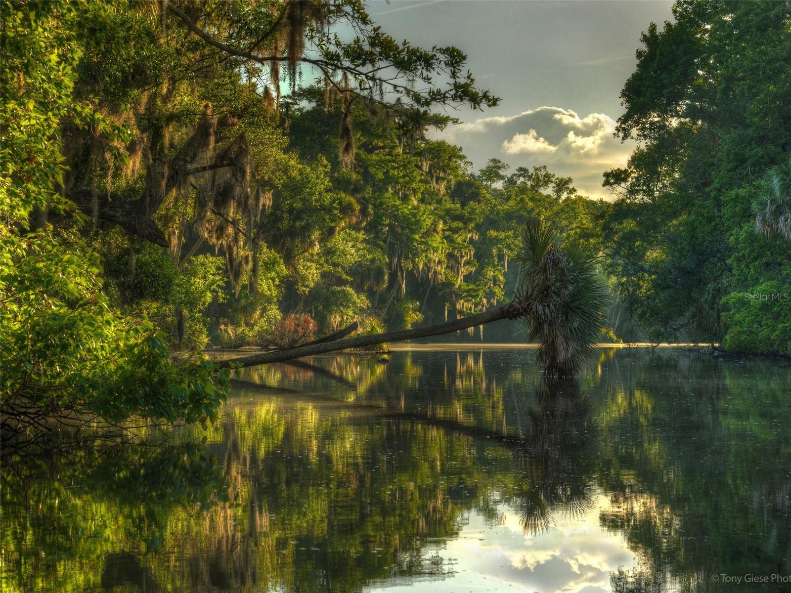 2003 BEAVER CREEK DR, PORT ORANGE, FL, 32128