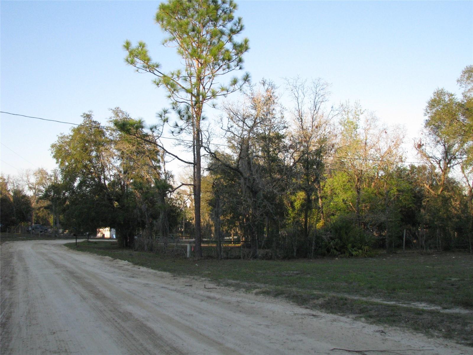 6737 SW 166TH TERRACE RD, OCALA, FL, 34481