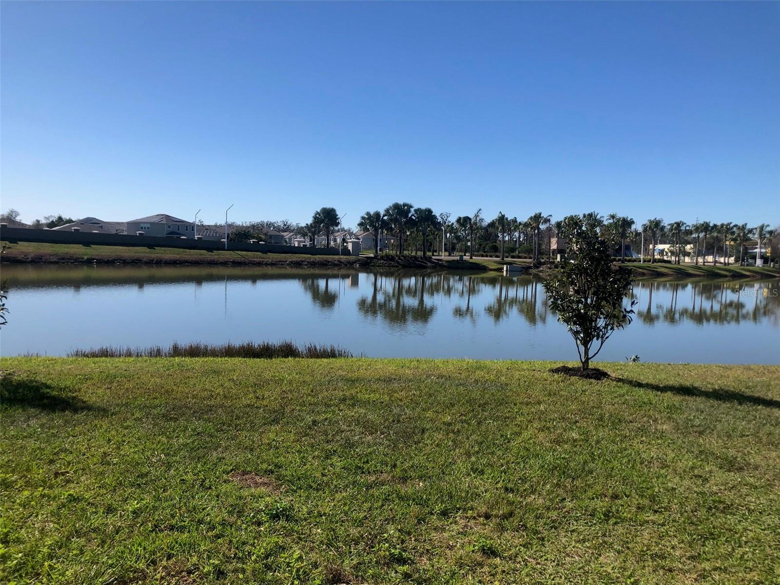 16634 MOONER PLANK CIR, WIMAUMA, FL, 33598