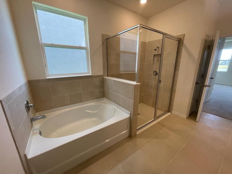 16634 MOONER PLANK CIR, WIMAUMA, FL, 33598
