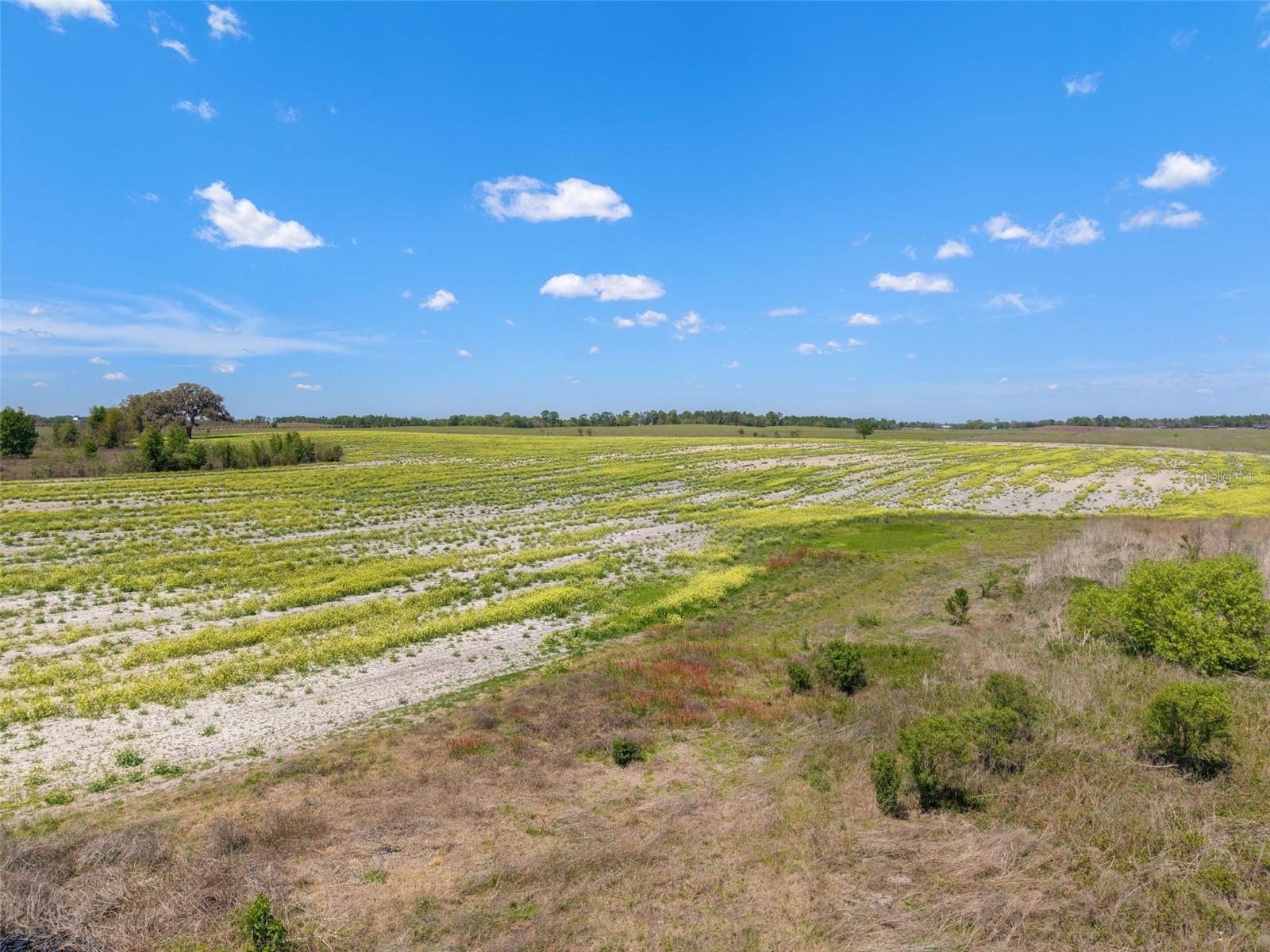 TBD NW 13TH ST, DUNNELLON, FL, 34431