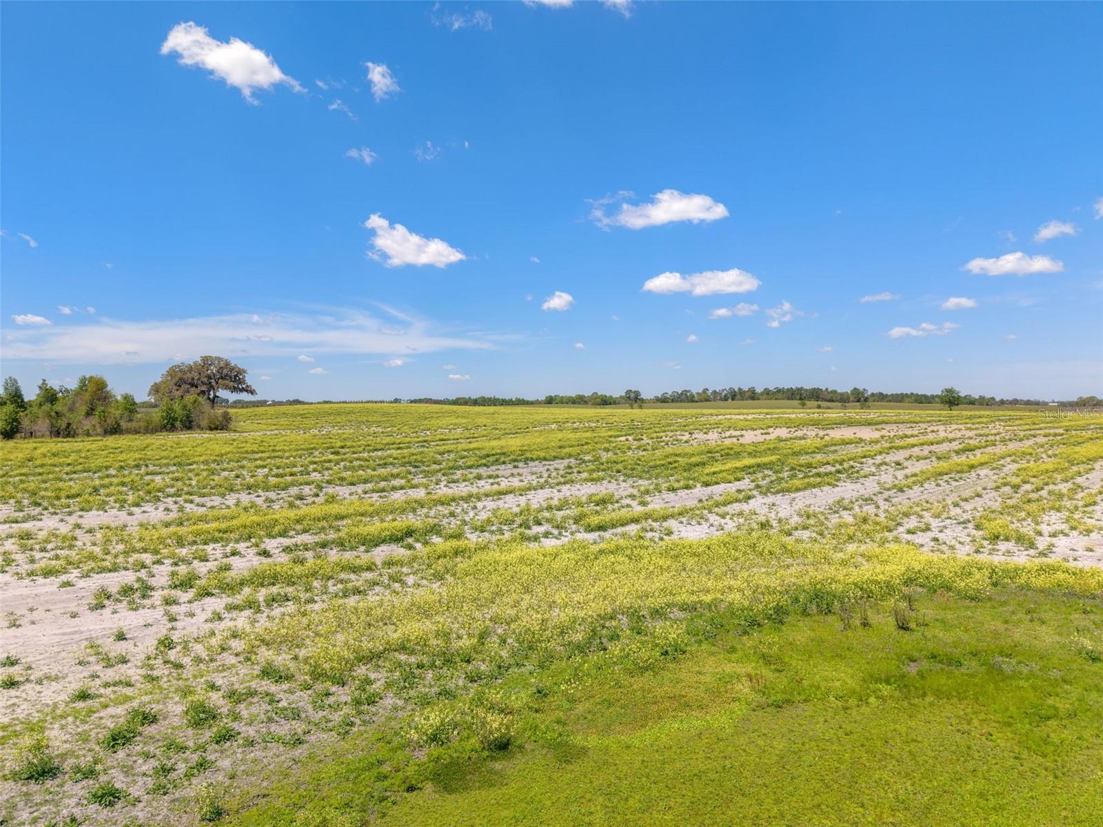 TBD NW 13TH ST, DUNNELLON, FL, 34431