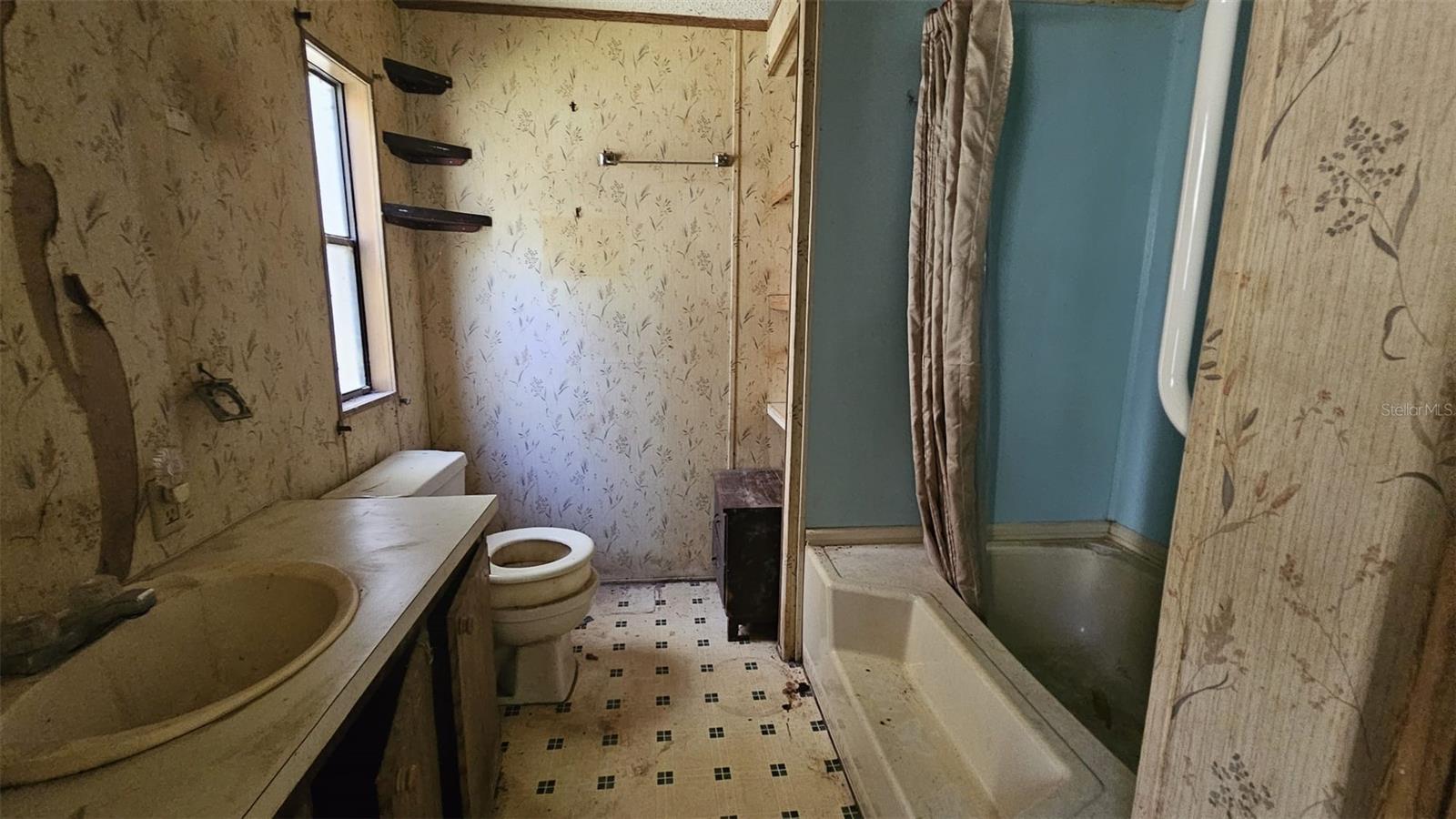 15359 SE 156TH PLACE RD, WEIRSDALE, FL, 32195